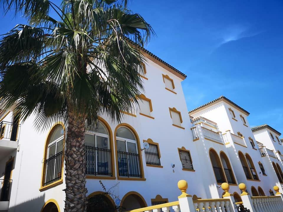 Walsh - La Zenia * Orihuela